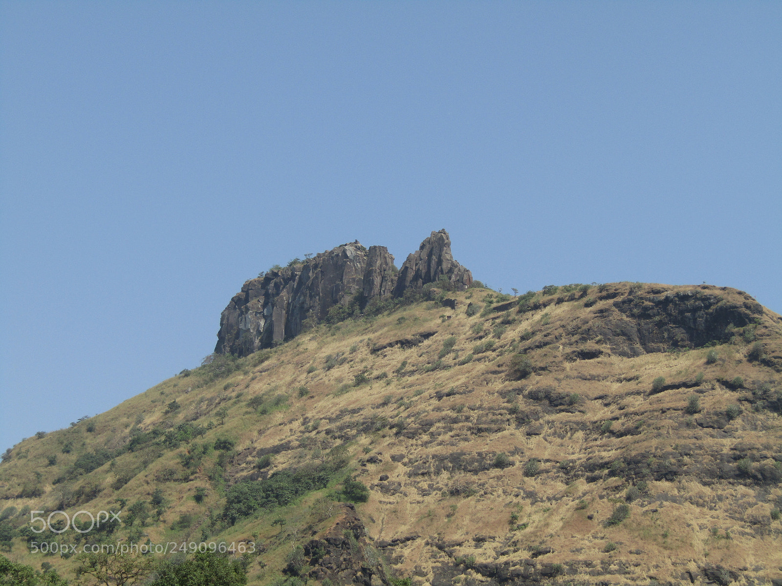 Canon POWERSHOT SX430 IS sample photo. Img photography