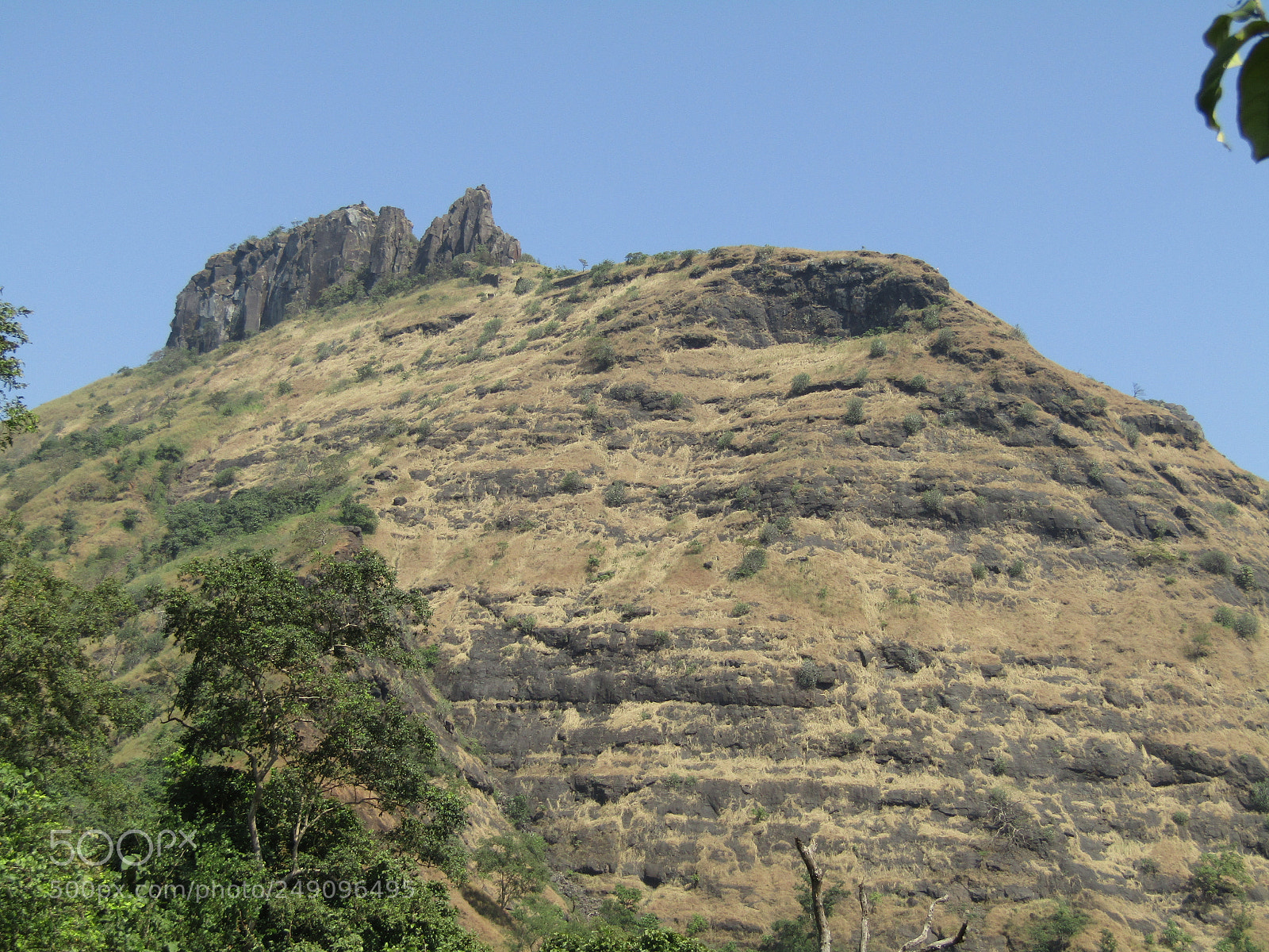 Canon POWERSHOT SX430 IS sample photo. Img photography