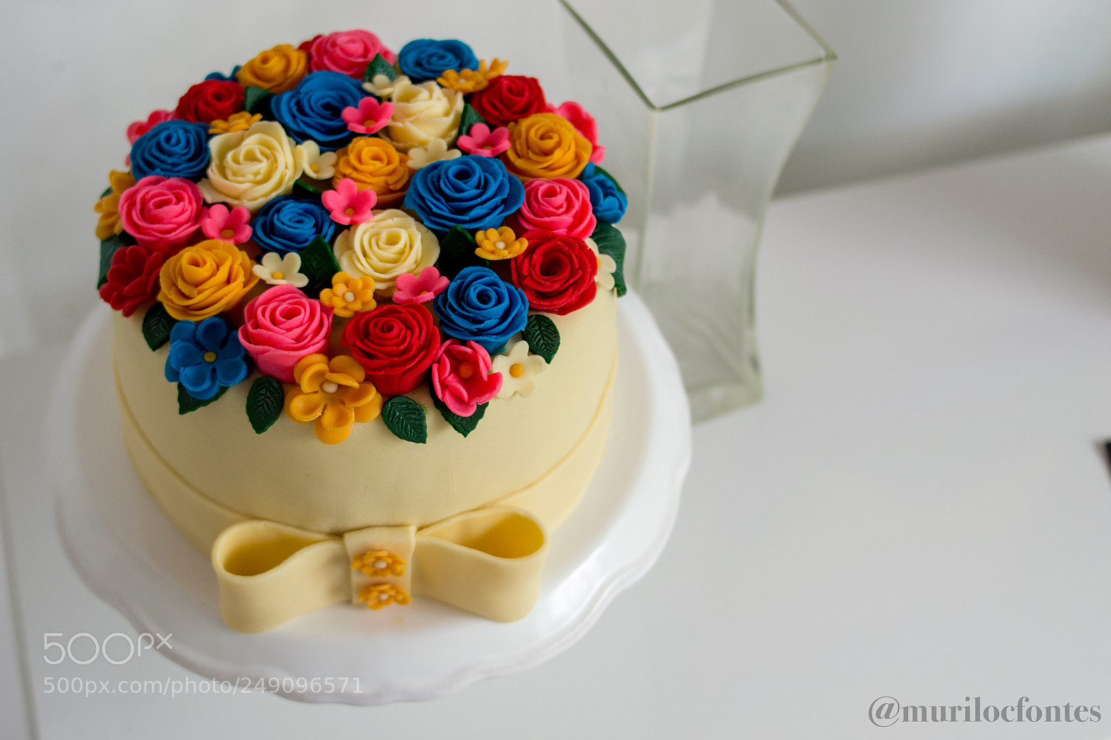 Nikon D3100 sample photo. Untitled photography