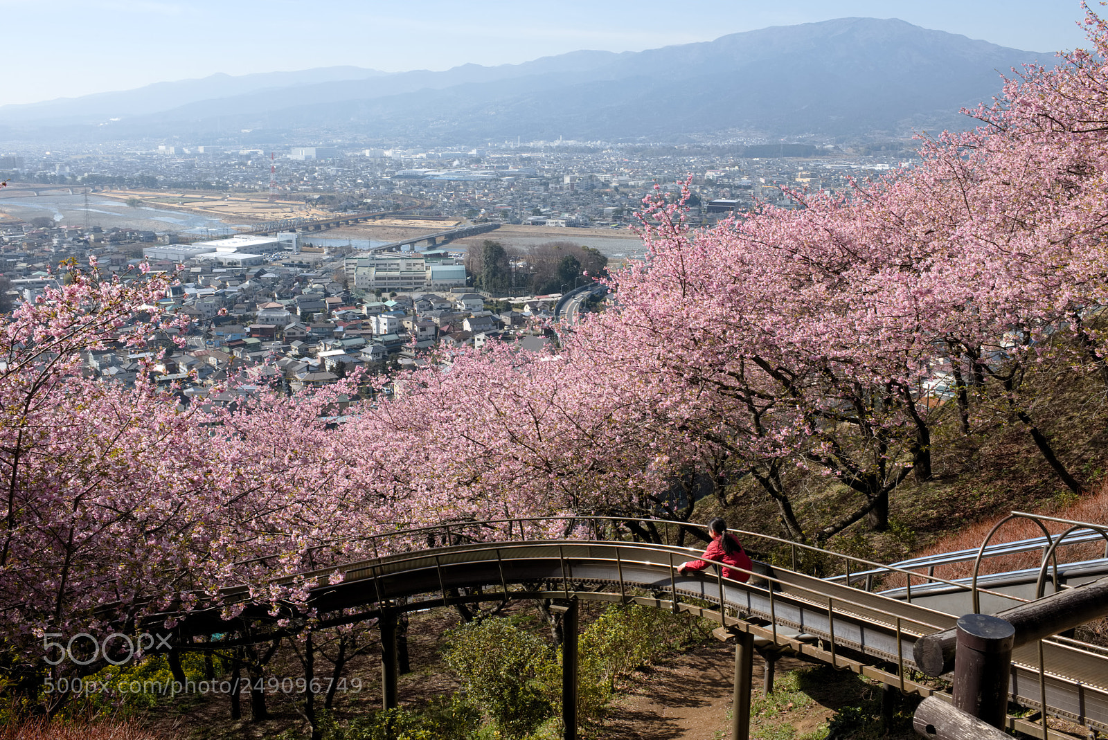 Nikon D810 sample photo. Slide down the slide photography