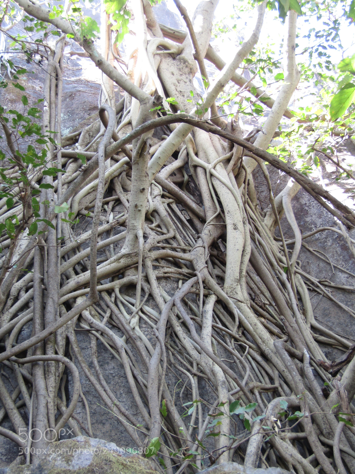 Canon POWERSHOT SX430 IS sample photo. Img photography