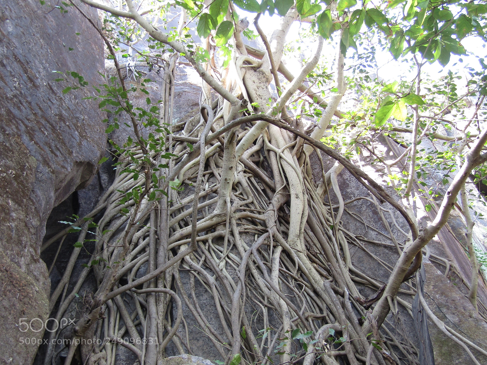 Canon POWERSHOT SX430 IS sample photo. Img photography