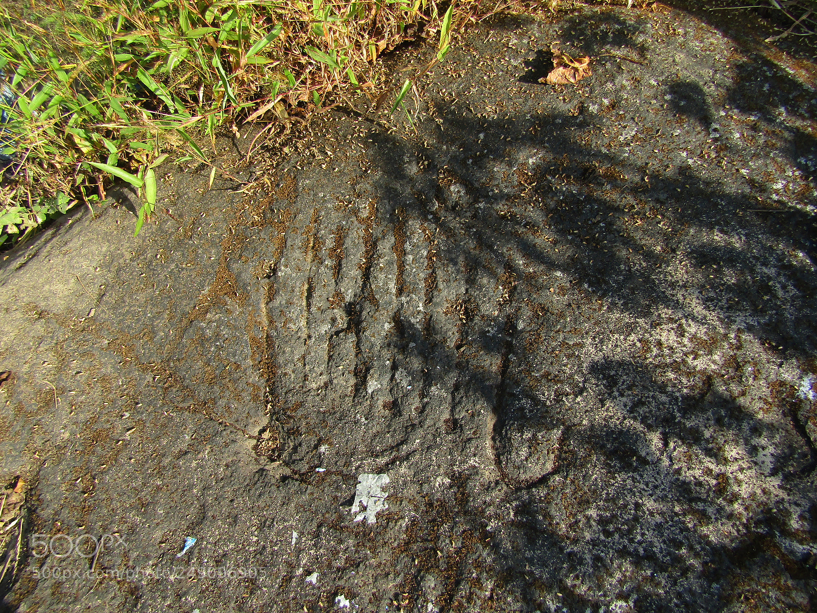 Canon POWERSHOT SX430 IS sample photo. Img photography