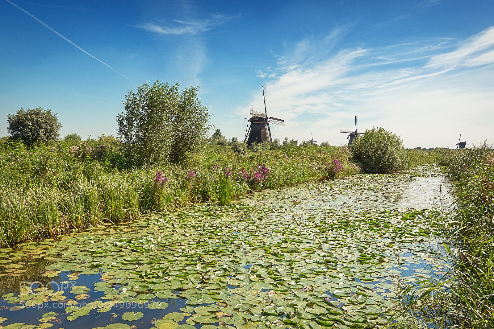 Nikon D7100 sample photo. The beautiful dutch windmills photography