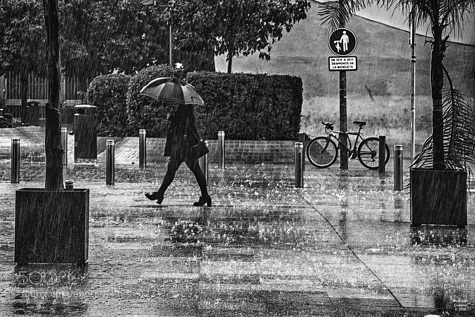 Olympus OM-D E-M10 II sample photo. Llueve photography