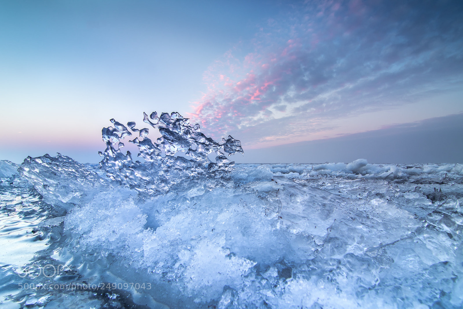 Canon EOS 80D sample photo. Dutch arctic photography