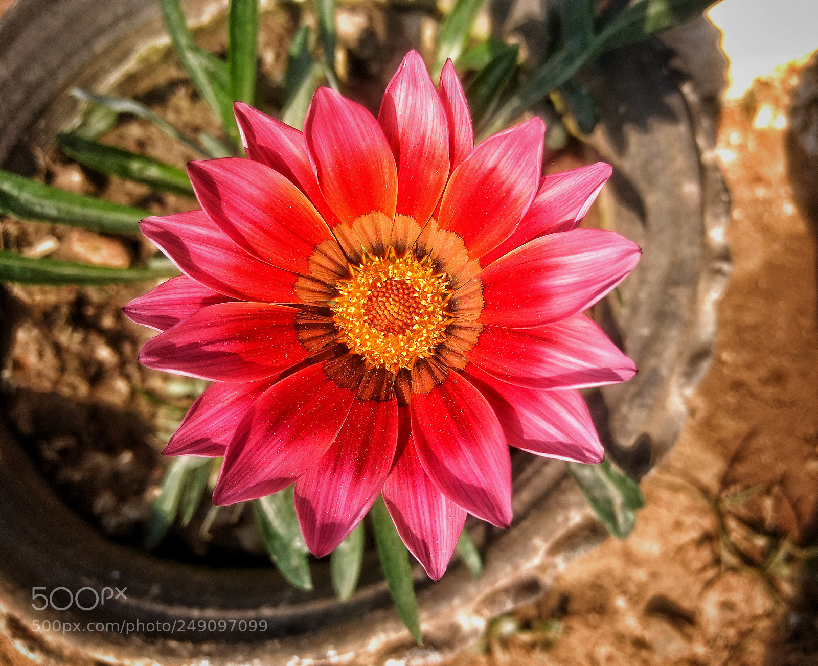 Motorola Moto G (4) sample photo. See photography