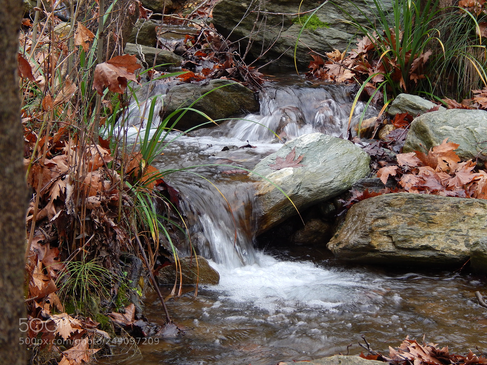 Nikon Coolpix L820 sample photo. Autumn beauty photography