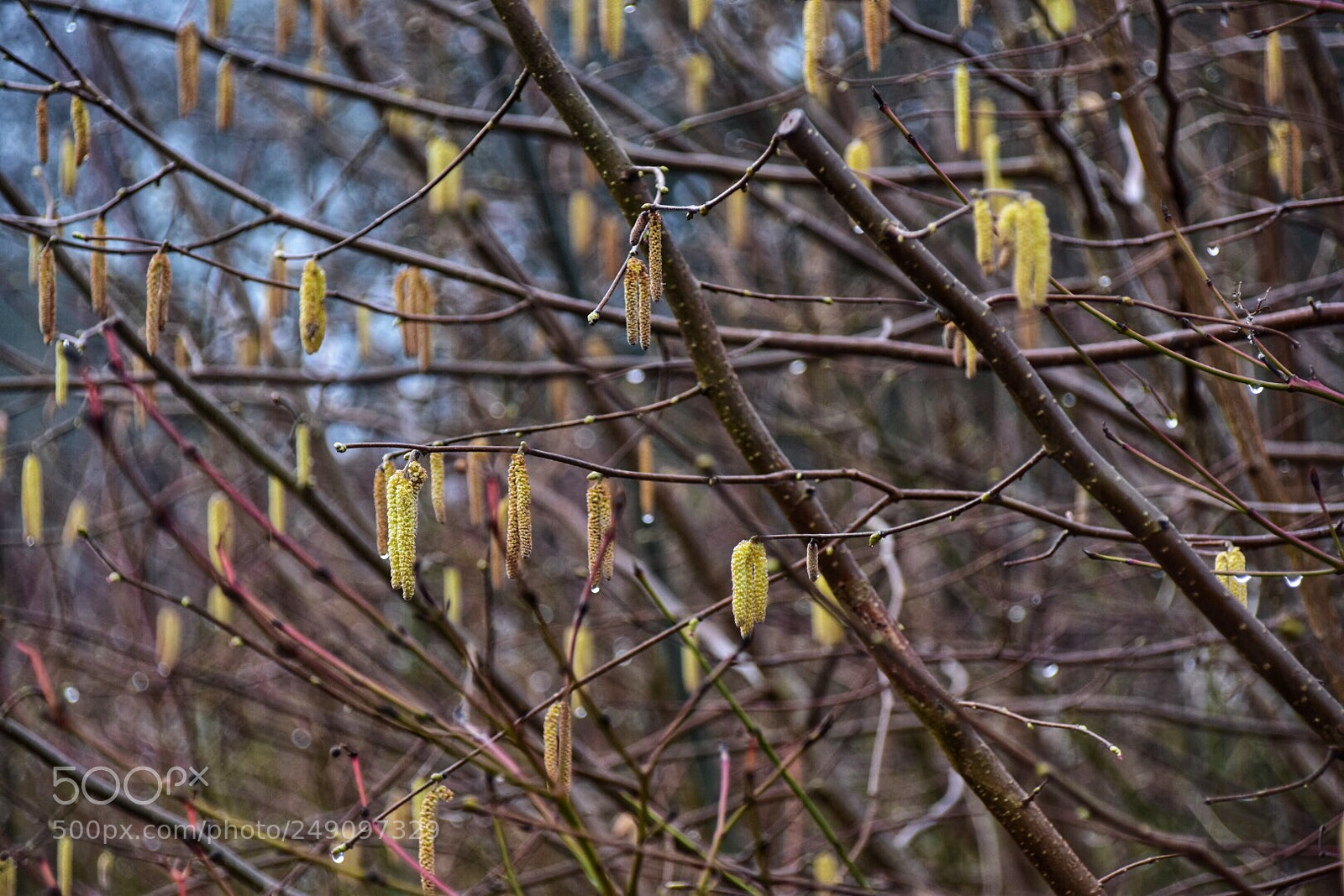 Nikon D5500 sample photo. Untitled photography