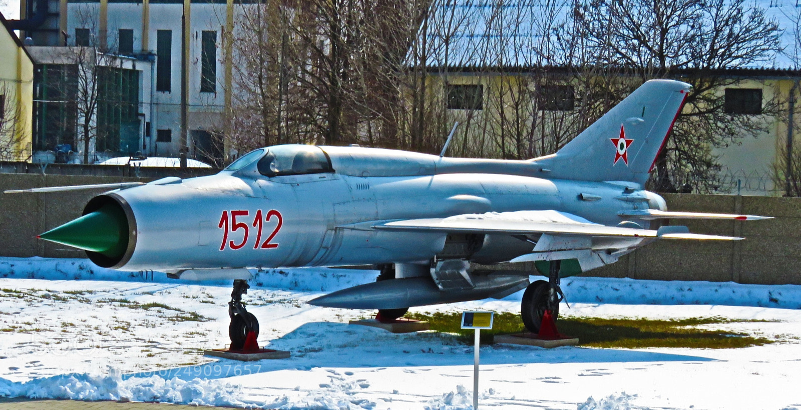 Canon PowerShot SX60 HS sample photo. Frozen mig photography