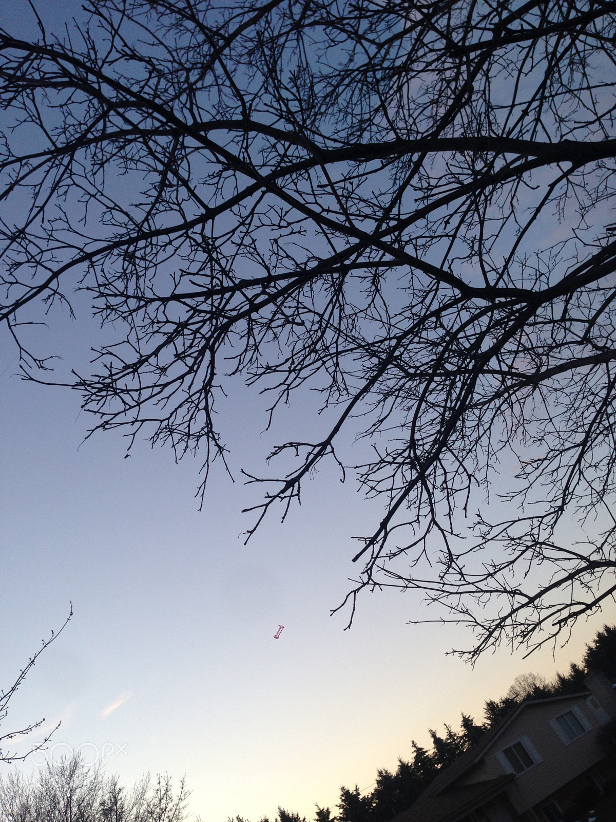 Apple iPhone 5 sample photo. Livonia mi photography