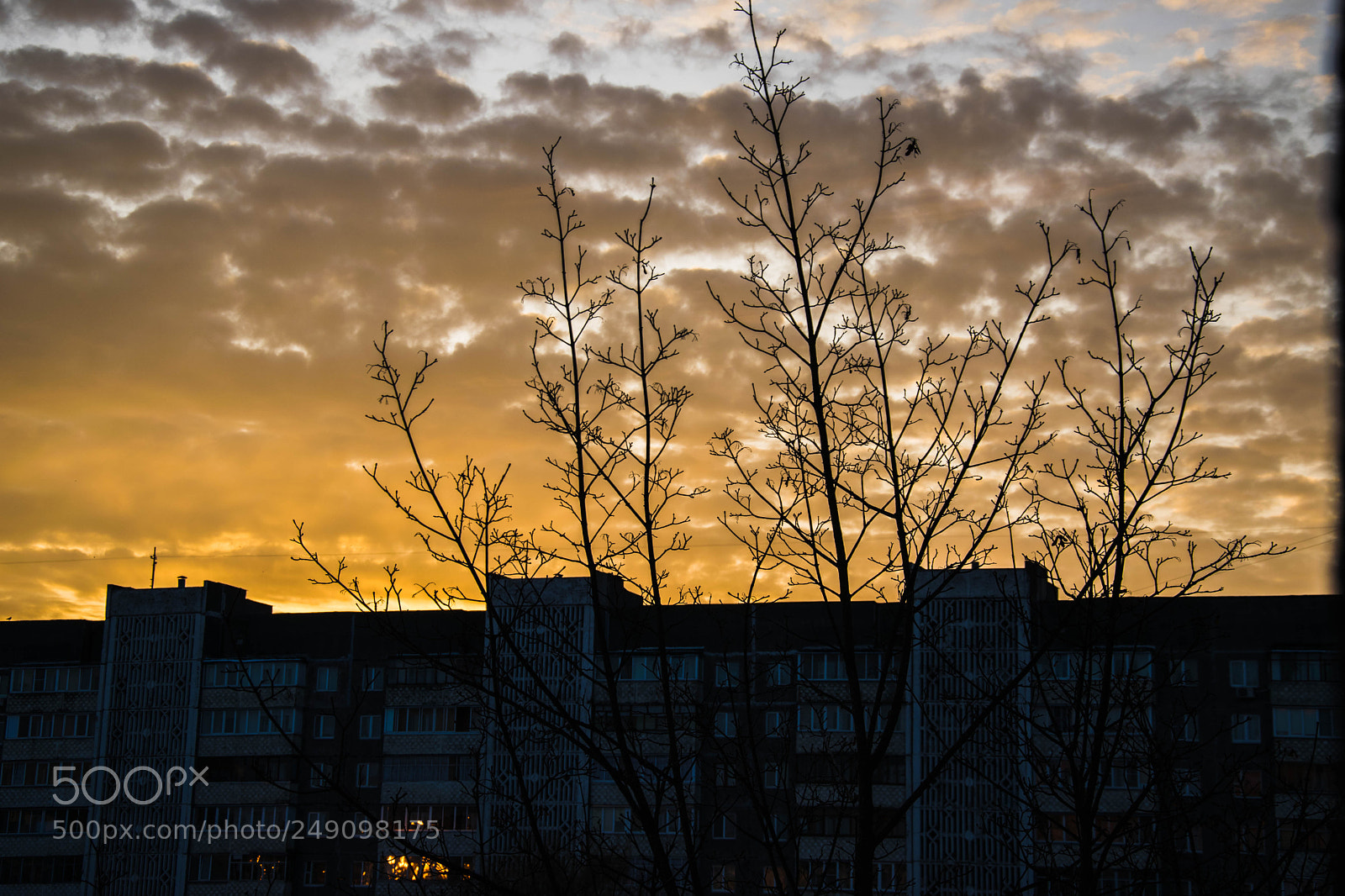 Nikon D5300 sample photo. Рассвет photography