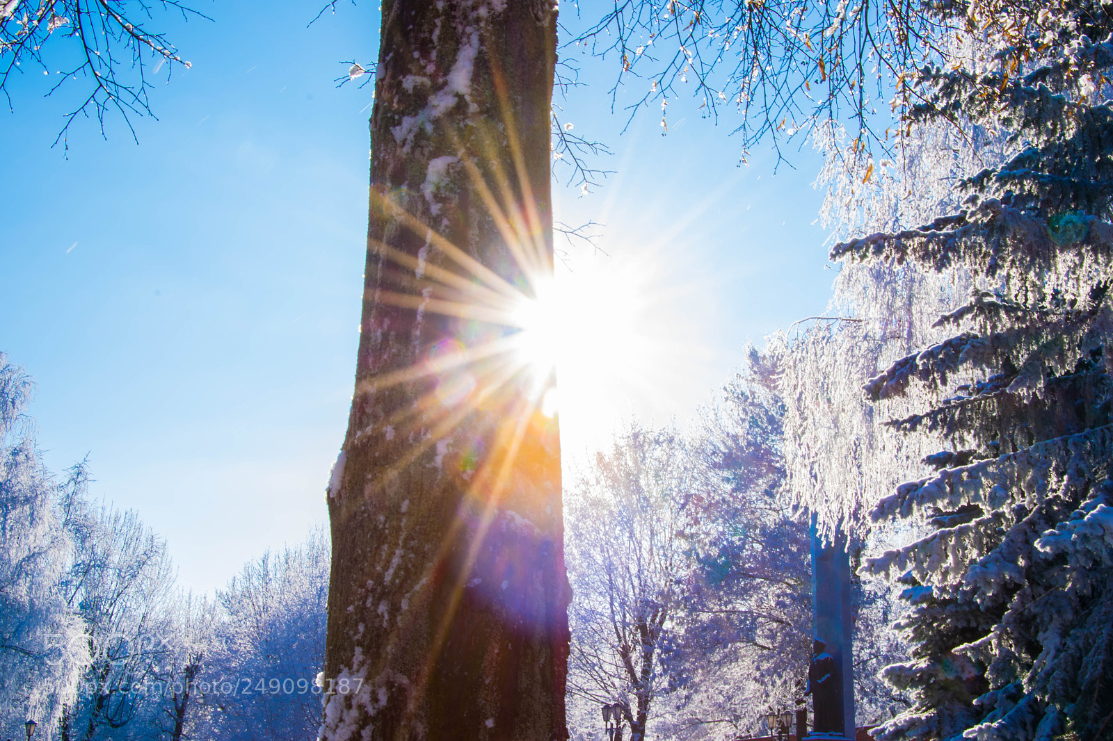 Nikon D5300 sample photo. Солнце photography