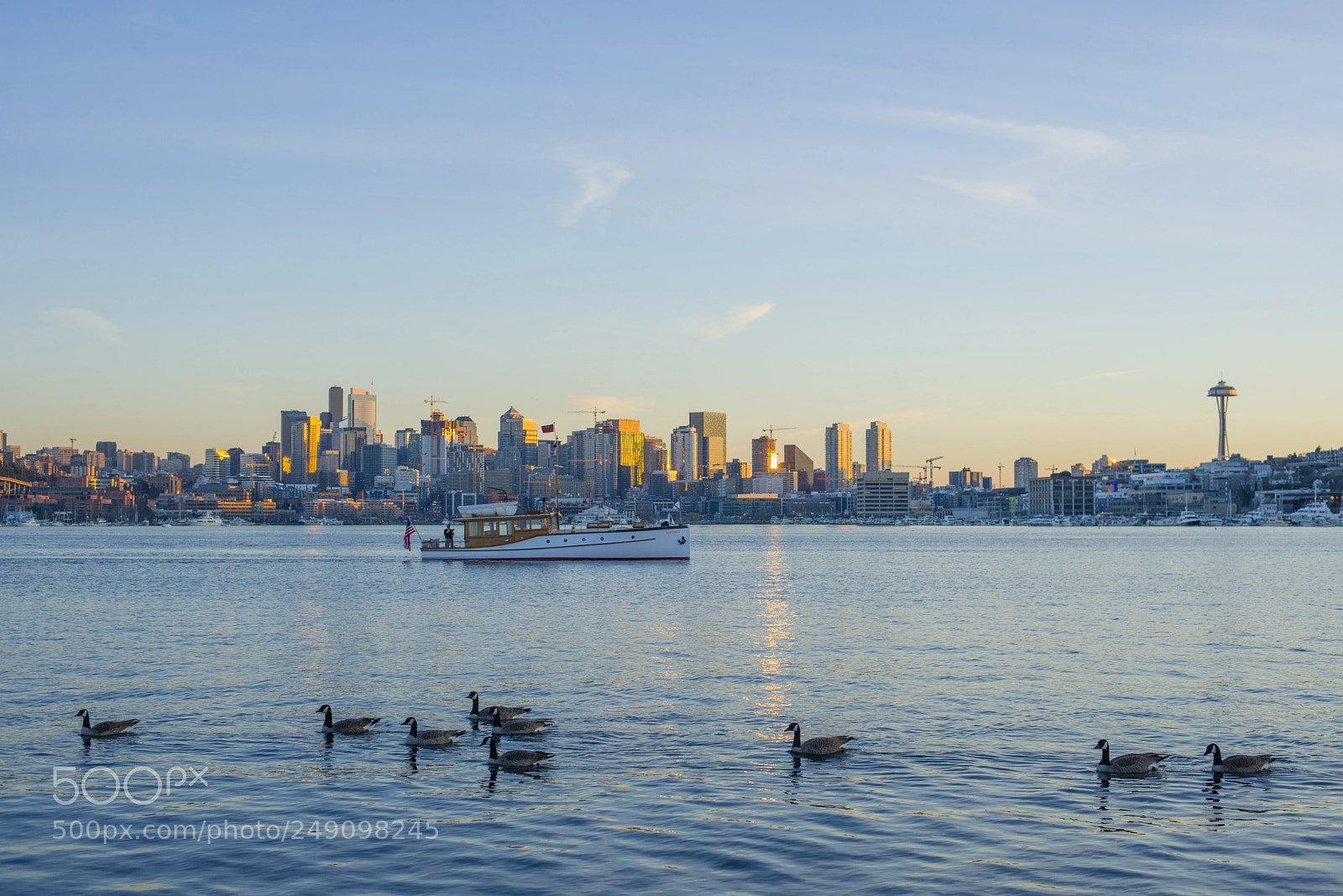 Nikon D800 sample photo. Evening at gasworks photography