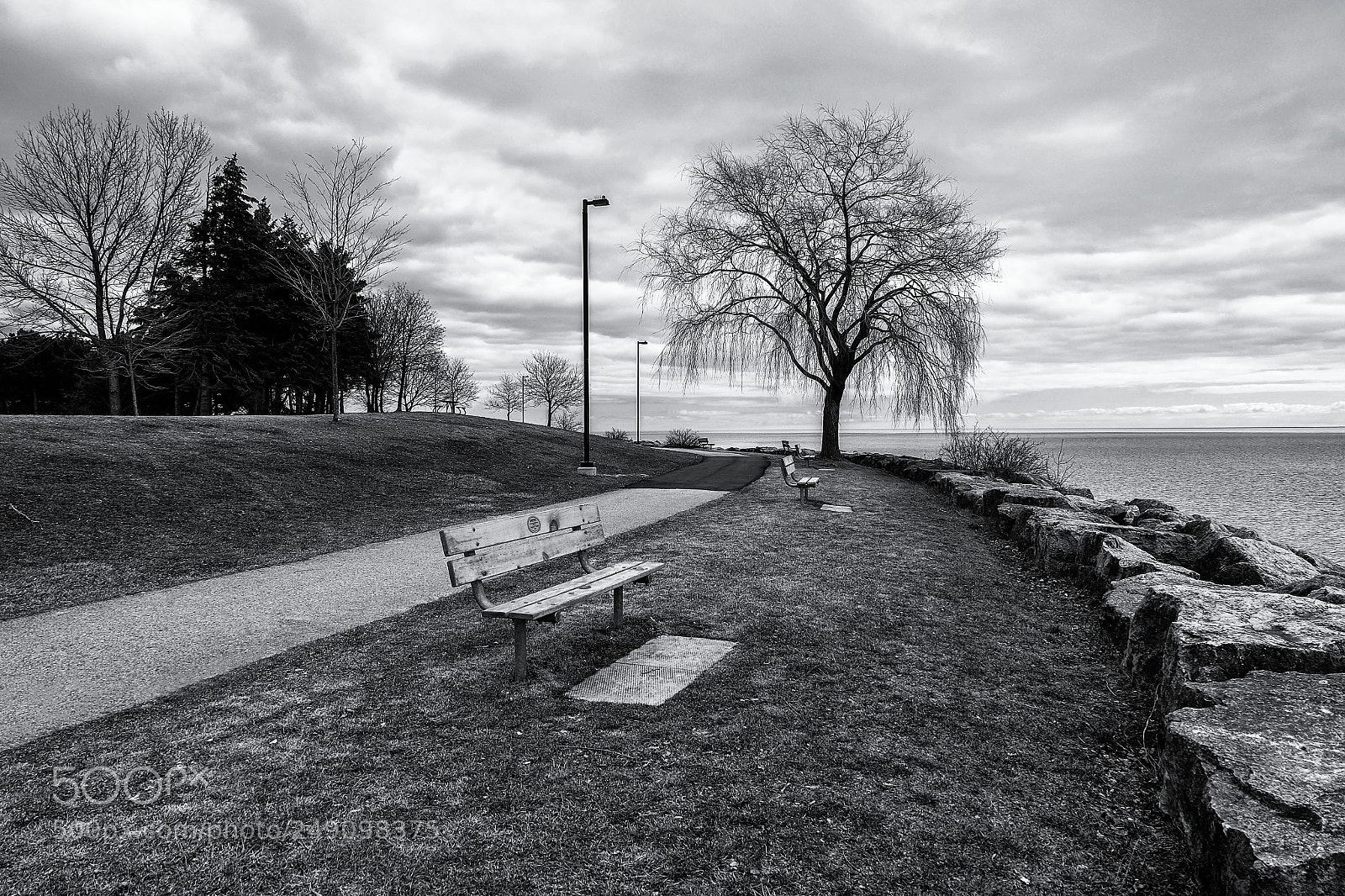 Fujifilm X-E2 sample photo. Lakeview park photography