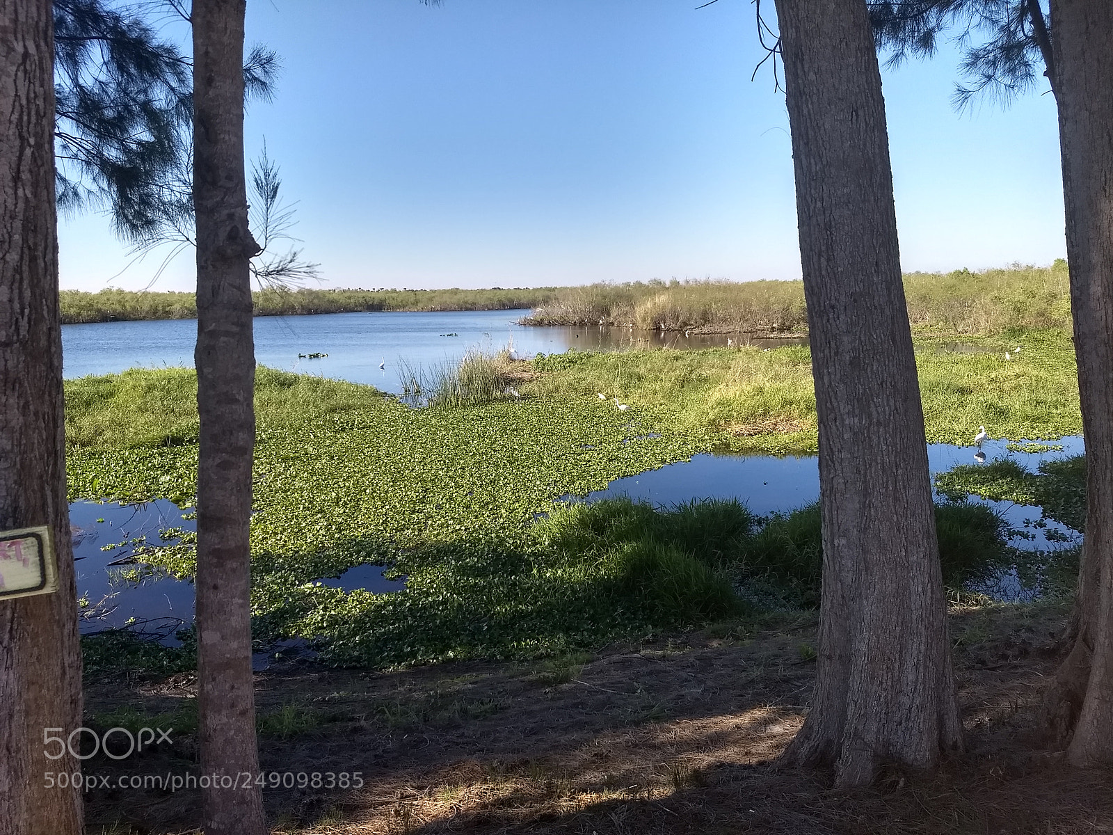Motorola Moto G (5) Plus sample photo. Hdr photography