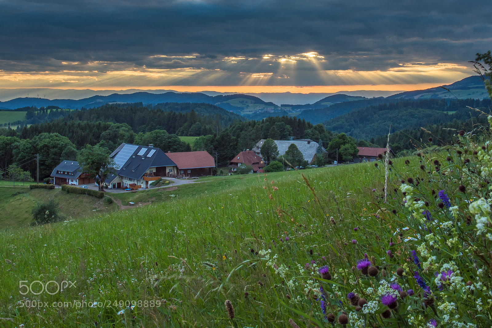 Nikon D810 sample photo. Sommerduft im schwarzwald photography