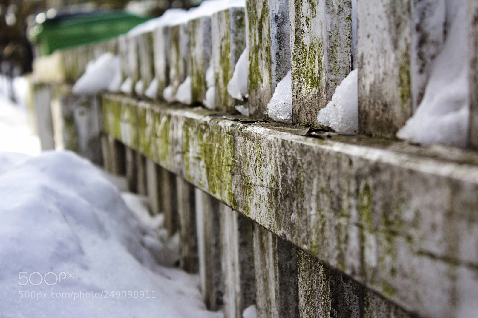 Canon EOS 600D (Rebel EOS T3i / EOS Kiss X5) sample photo. Moss fence in snow photography