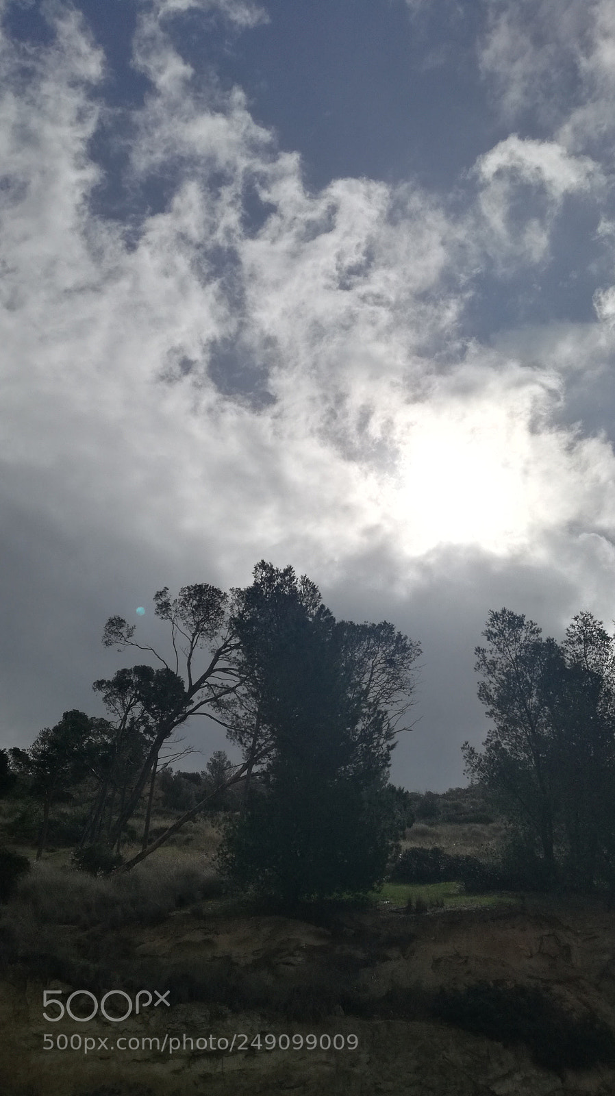 HUAWEI P9 LITE sample photo. Cloudy monday photography