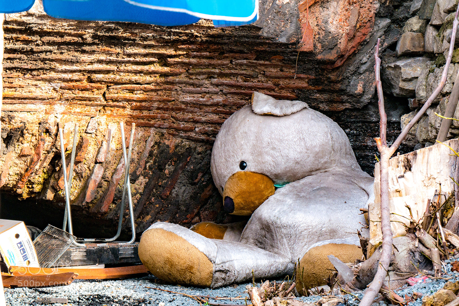 Panasonic Lumix DMC-G85 (Lumix DMC-G80) sample photo. Cuddles against the walls photography