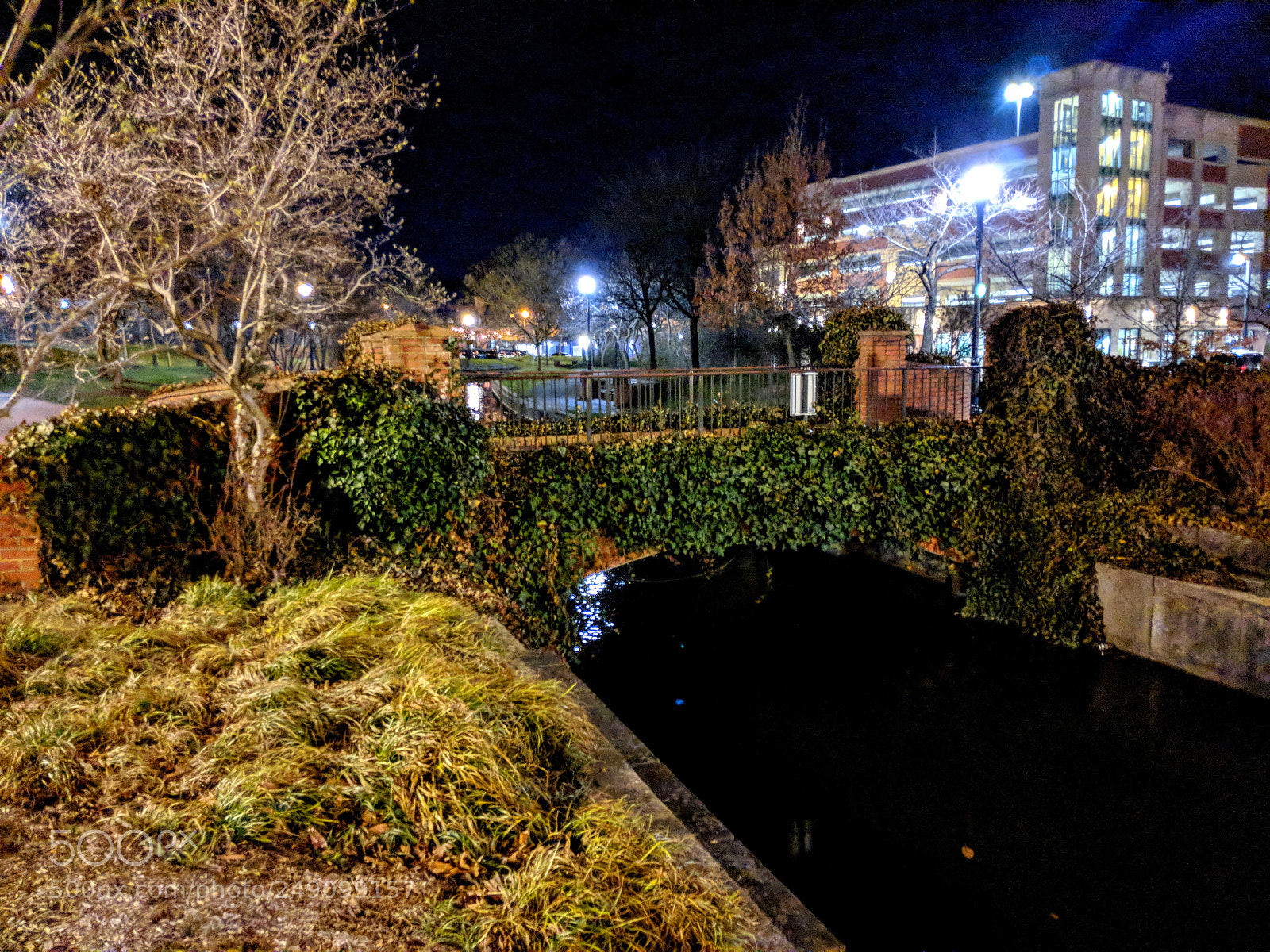 Google Pixel 2 sample photo. Engagement bridge photography