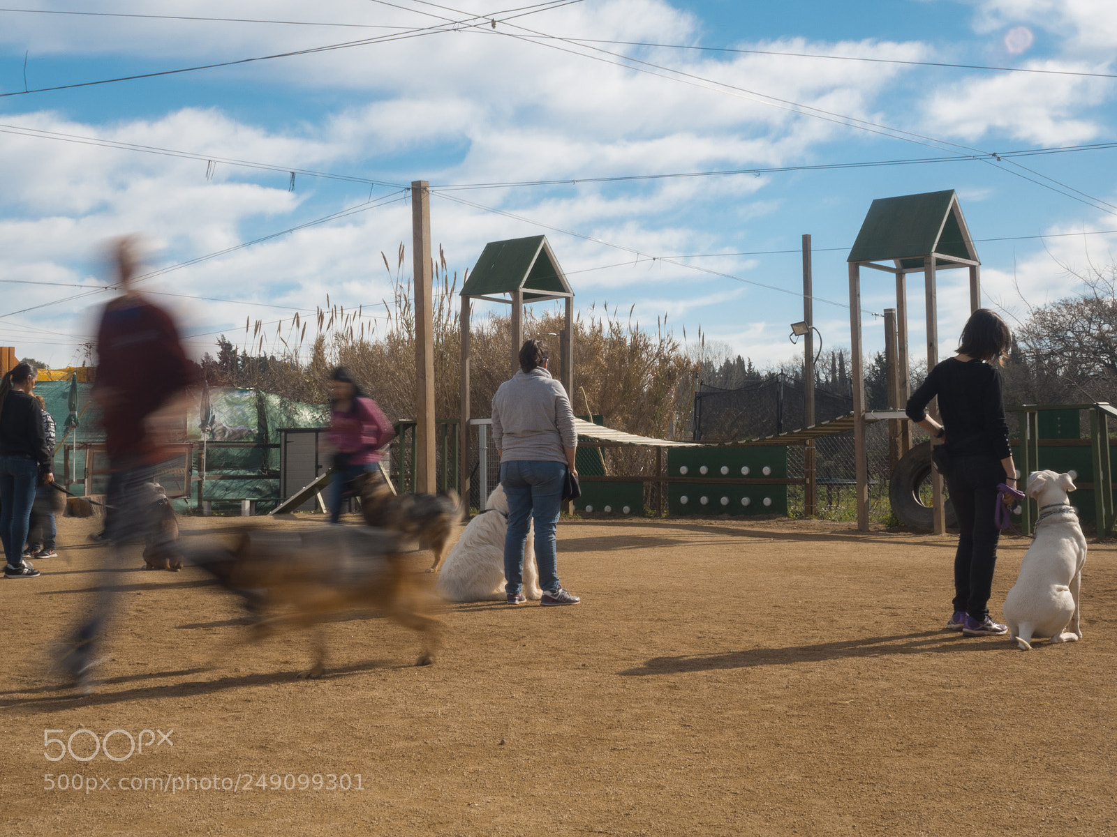 Olympus OM-D E-M10 II sample photo. Action photography