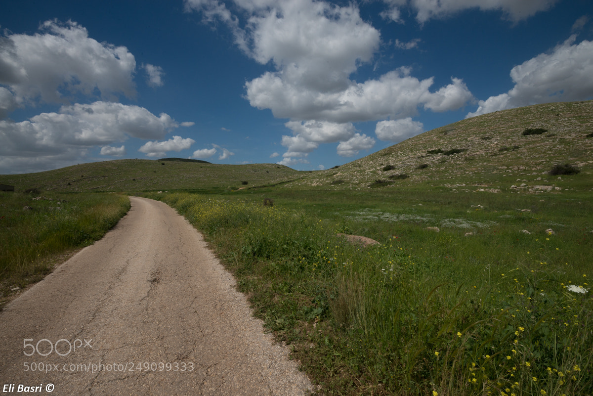 Nikon D800 sample photo. The road photography