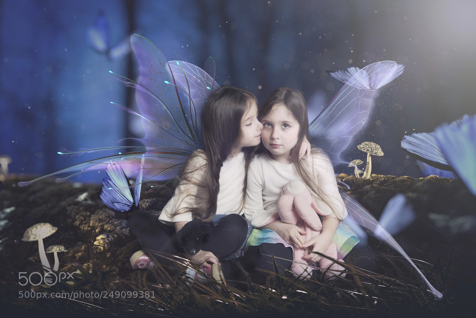Nikon D810 sample photo. Sister magic photography