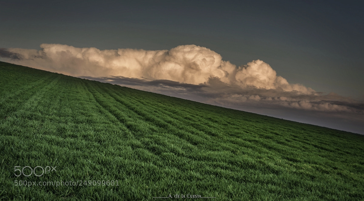 Nikon D7100 sample photo. Sown and clouds photography