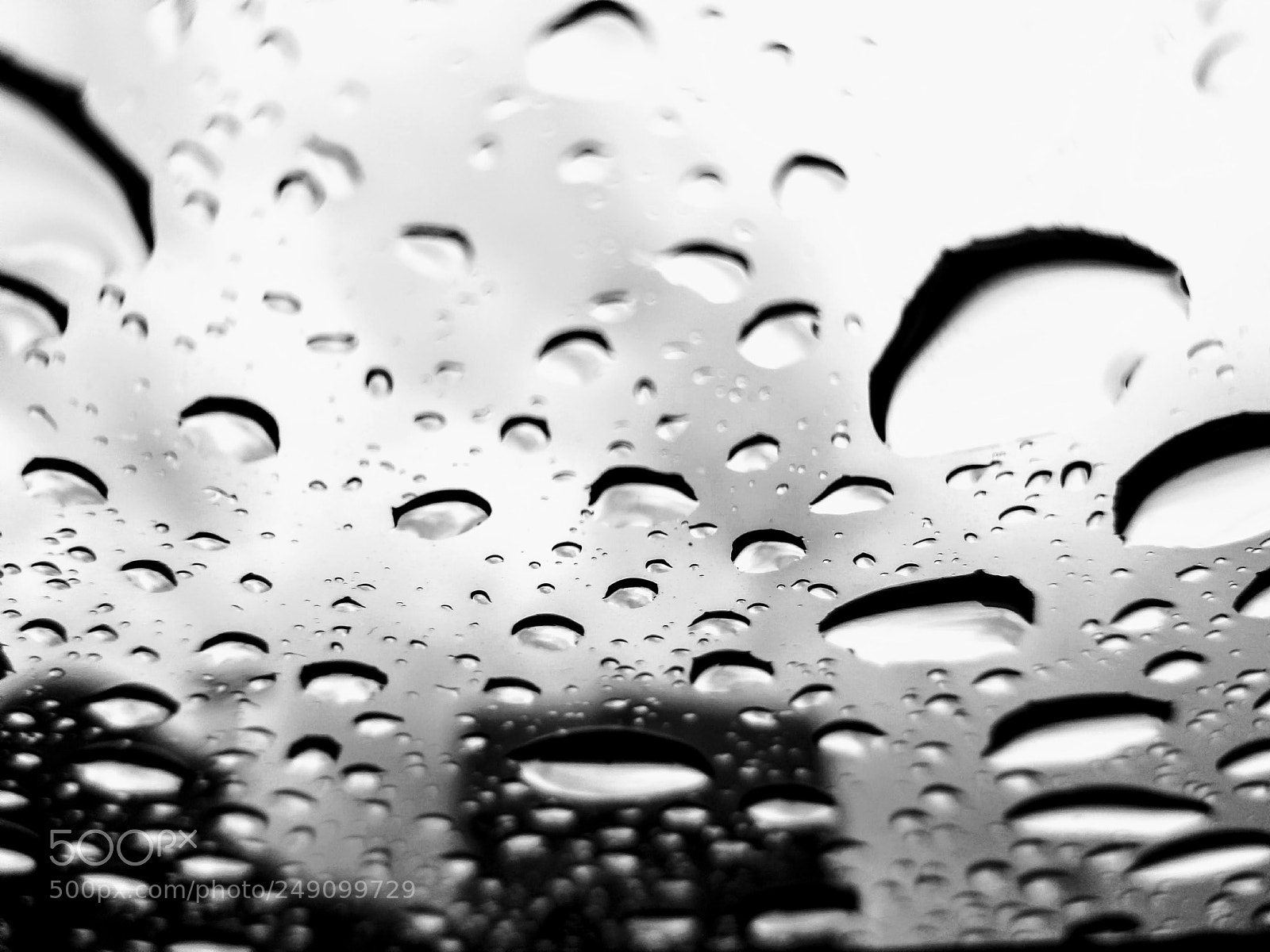 Samsung Galaxy S8 sample photo. Raindrops photography