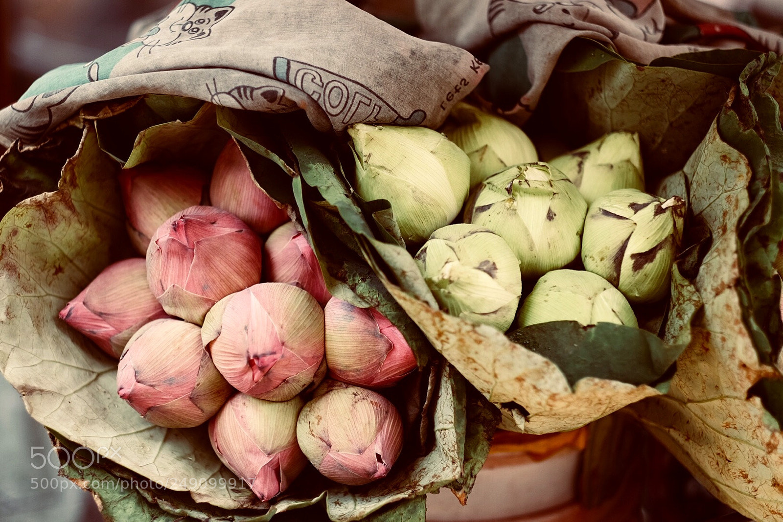 Fujifilm X-T10 sample photo. Flower market in singapore photography