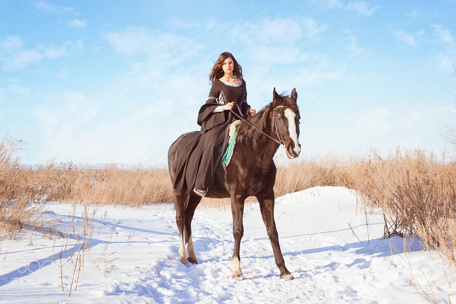 Sony Alpha DSLR-A850 sample photo. Horsewoman photography