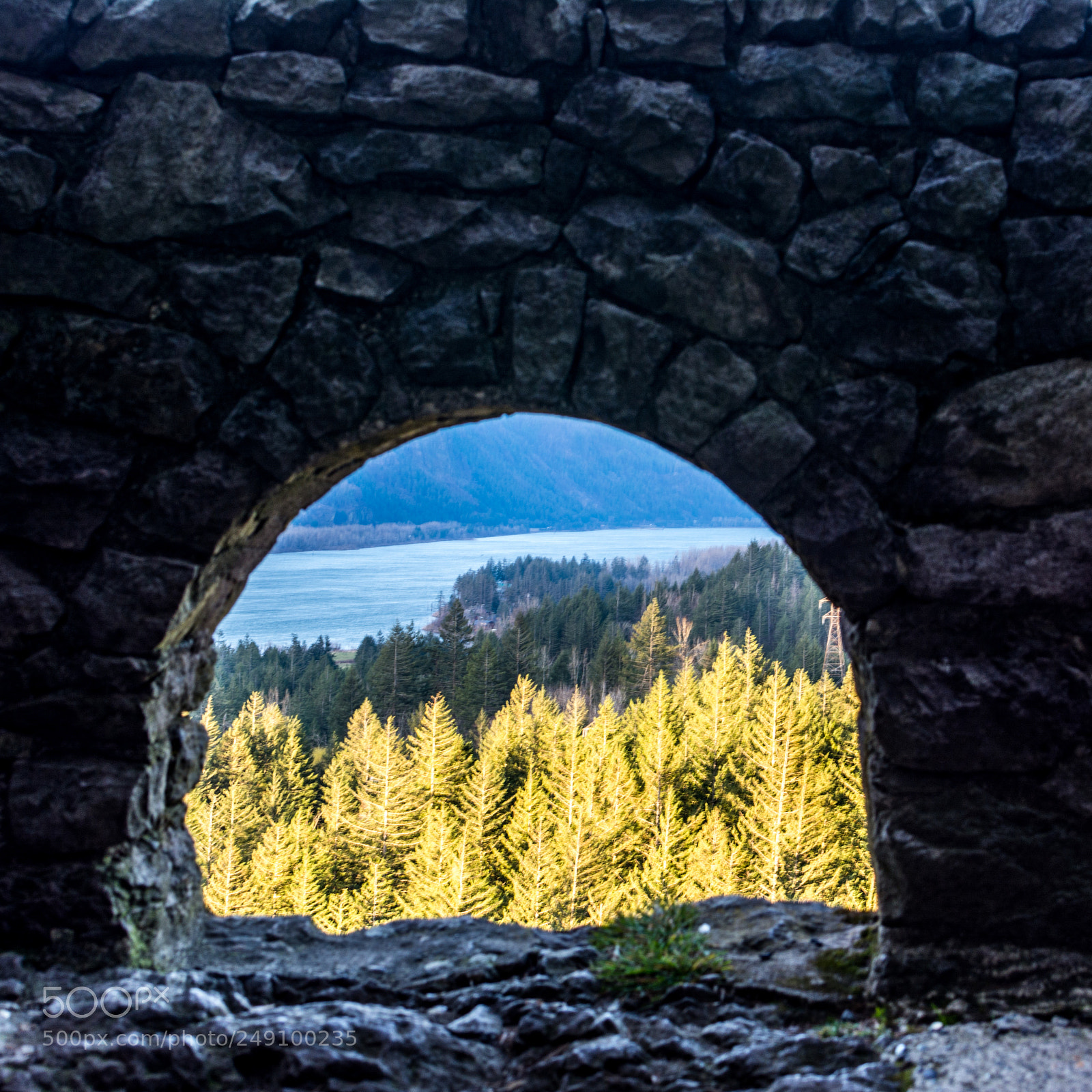 Nikon D7100 sample photo. Through the wall photography