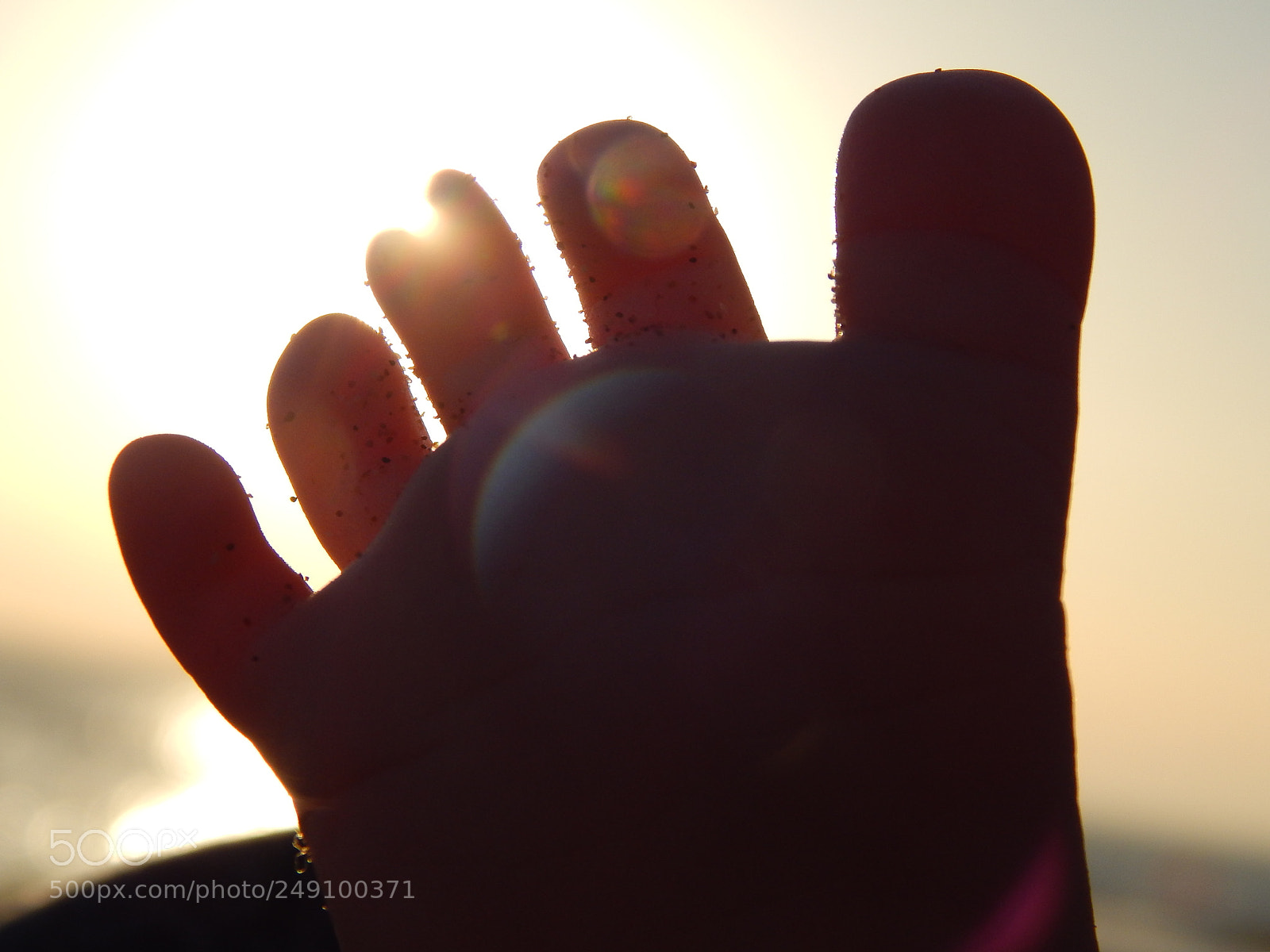 Nikon Coolpix L820 sample photo. My babygirl's footsunset photography