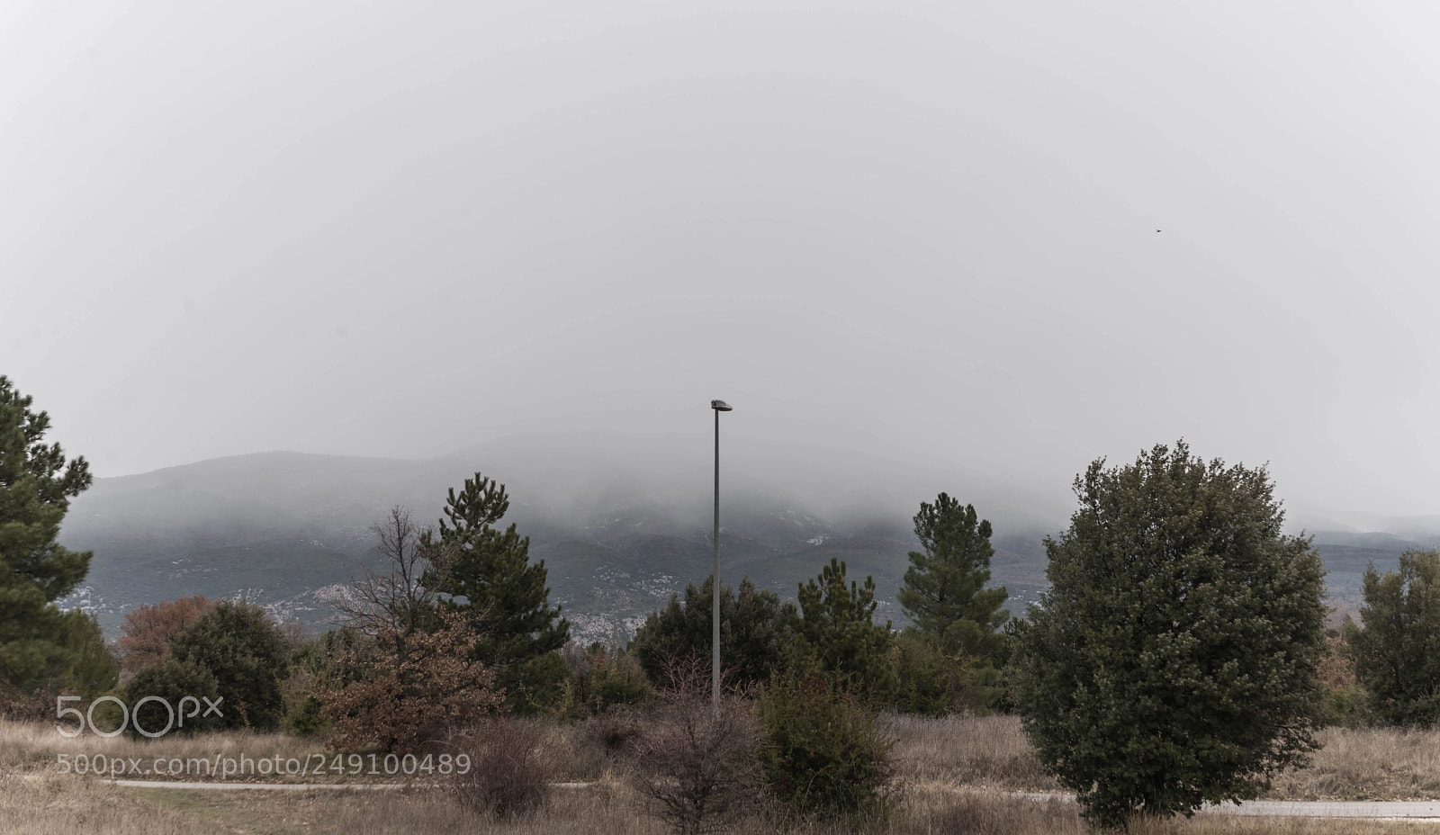 Nikon D610 sample photo. Lamp post on mist photography
