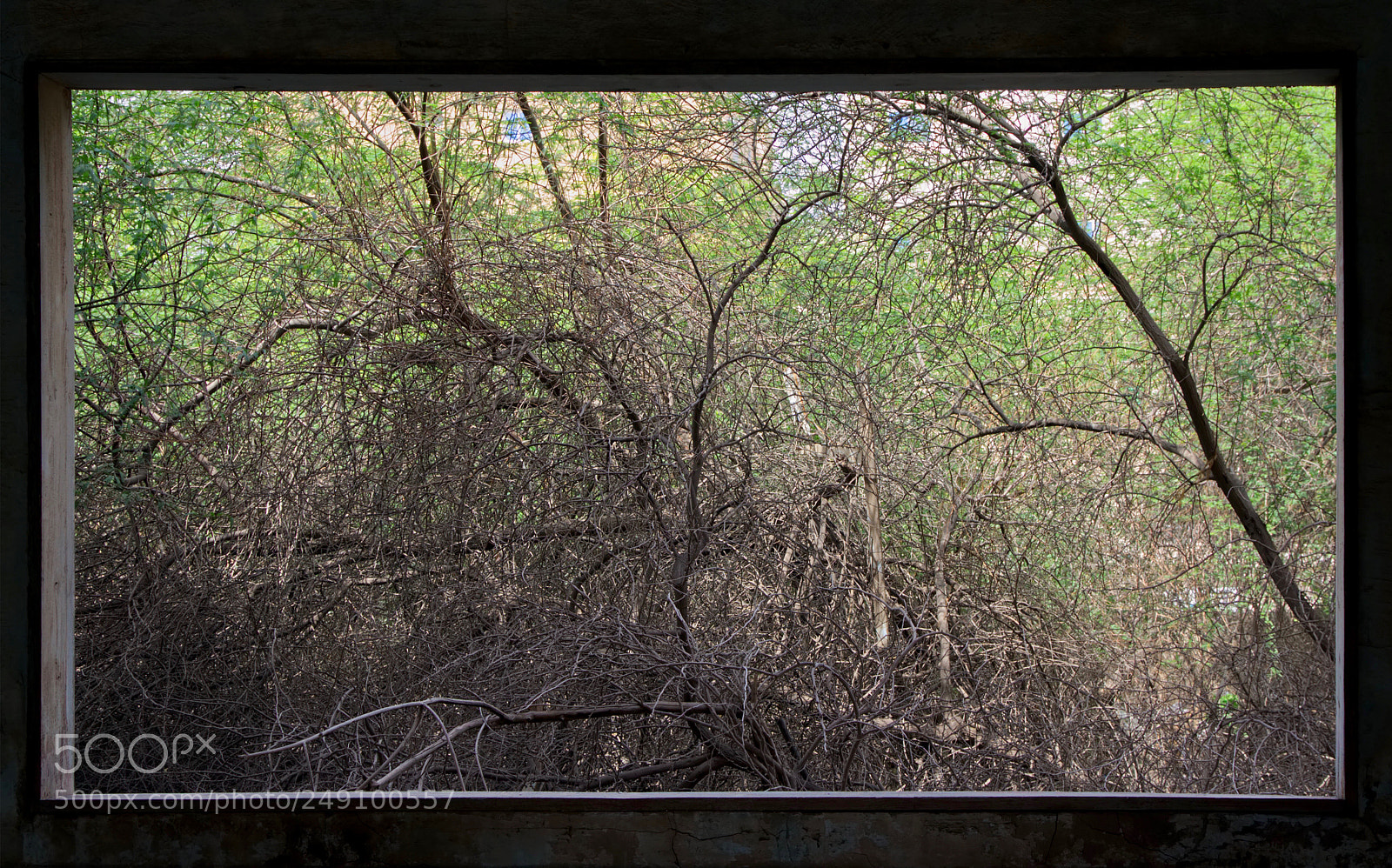 Canon EOS 650D (EOS Rebel T4i / EOS Kiss X6i) sample photo. The view photography