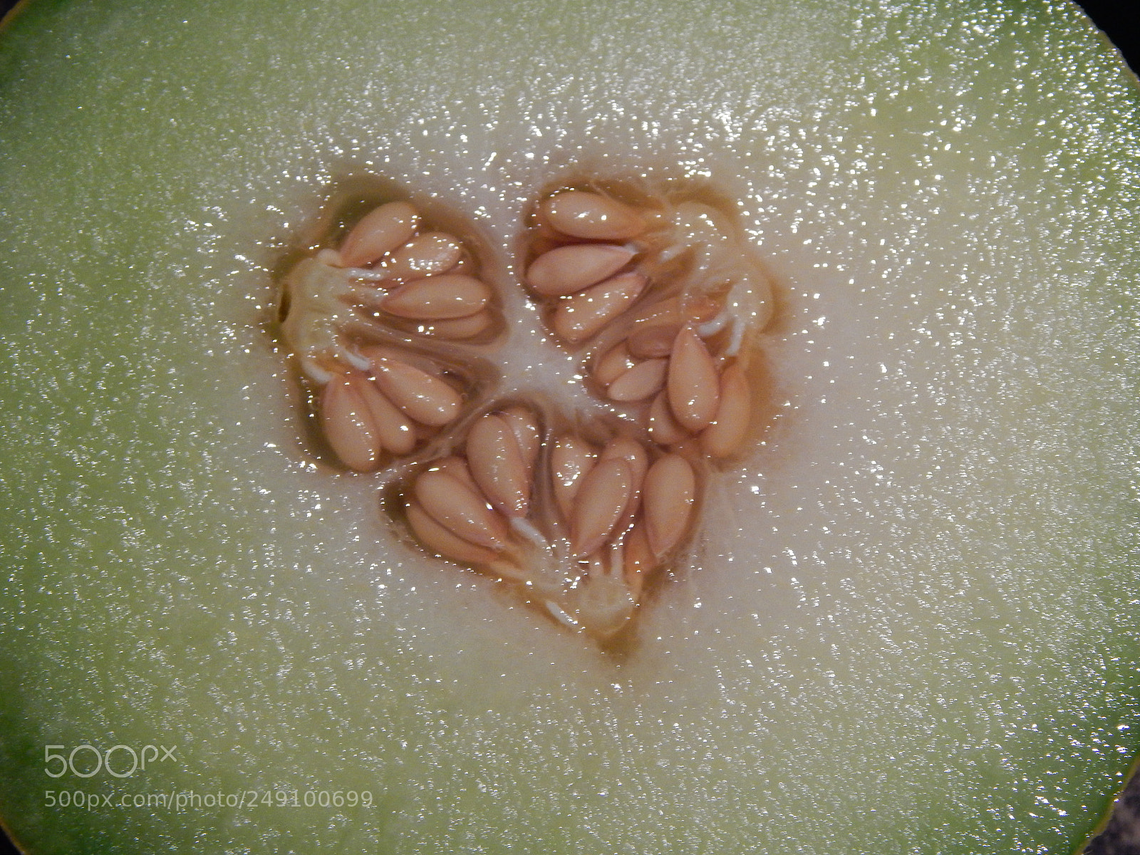 Nikon Coolpix L820 sample photo. Love is everywhere photography