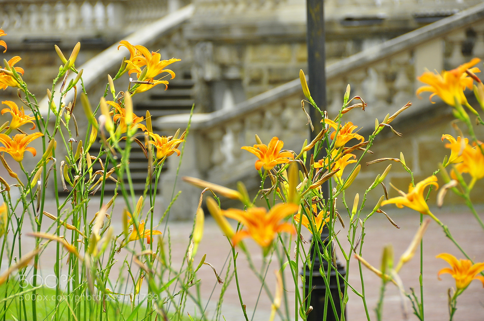 Nikon D90 sample photo. Lviv, ukraine. photography