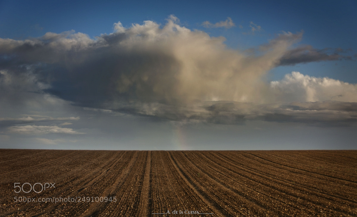 Nikon D7100 sample photo. Rain on the horizon photography