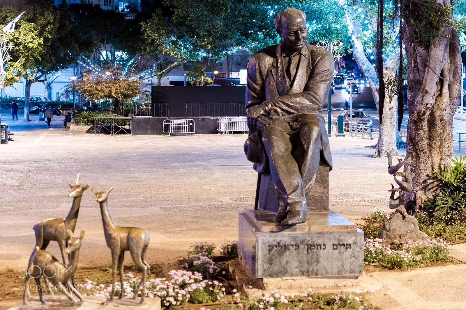 Nikon D5600 sample photo. Haim nahman bialik statue photography