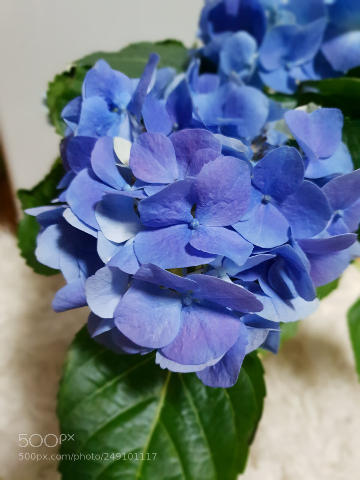 Samsung Galaxy S9 sample photo. Untitled photography