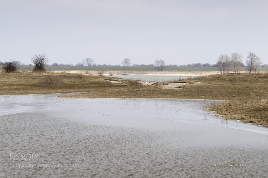 Sony ILCA-77M2 sample photo. Cold ooijpolder photography
