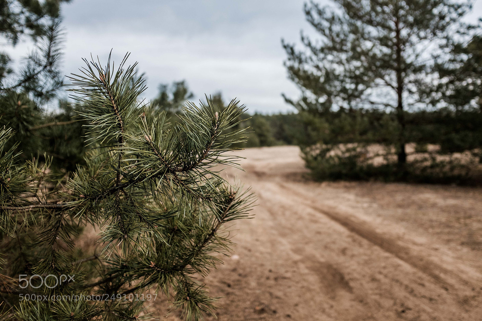 Fujifilm X100T sample photo. Exploring the new places.. photography