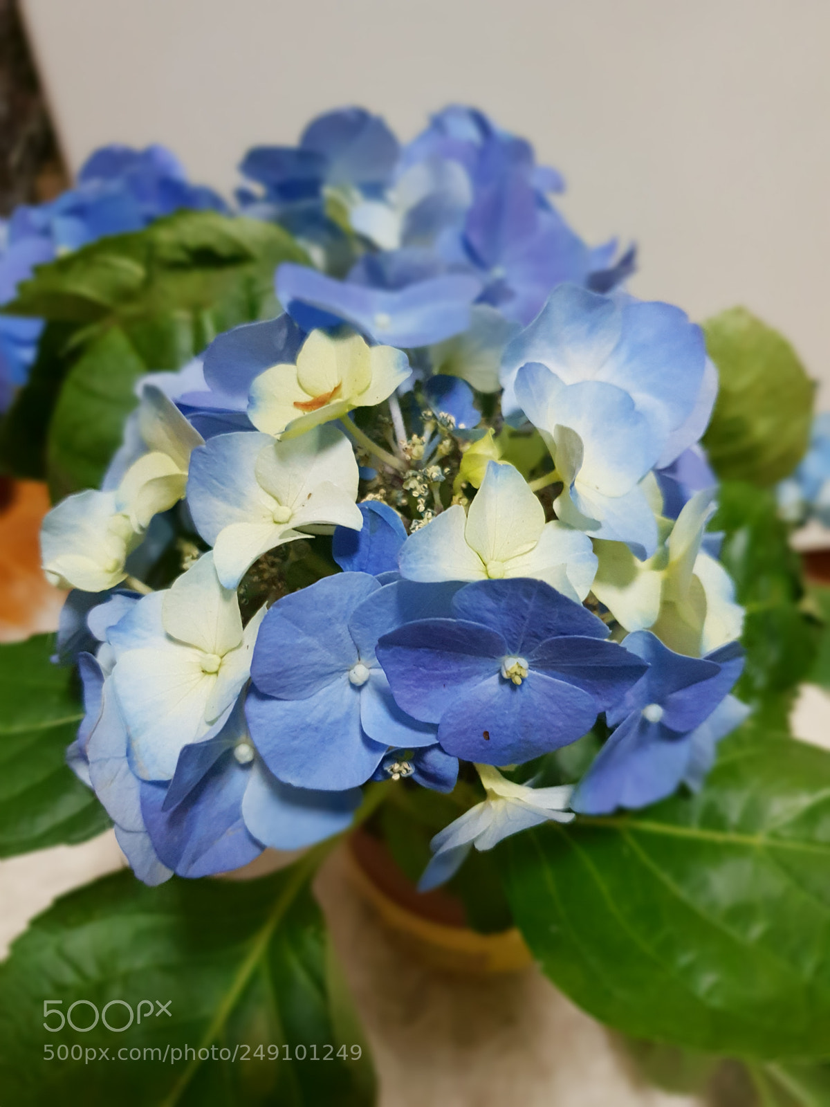 Samsung Galaxy S9 sample photo. Untitled photography