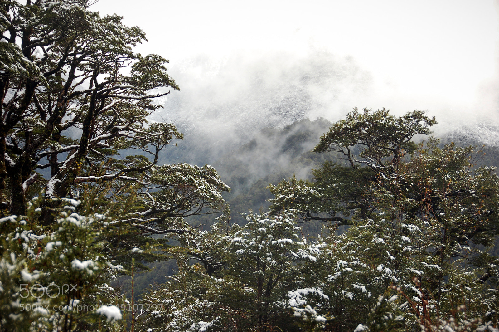 Nikon D50 sample photo. Just a slight touch photography