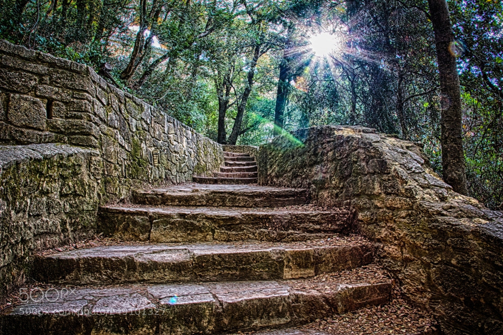 Sony SLT-A77 sample photo. Stairway to a dream photography