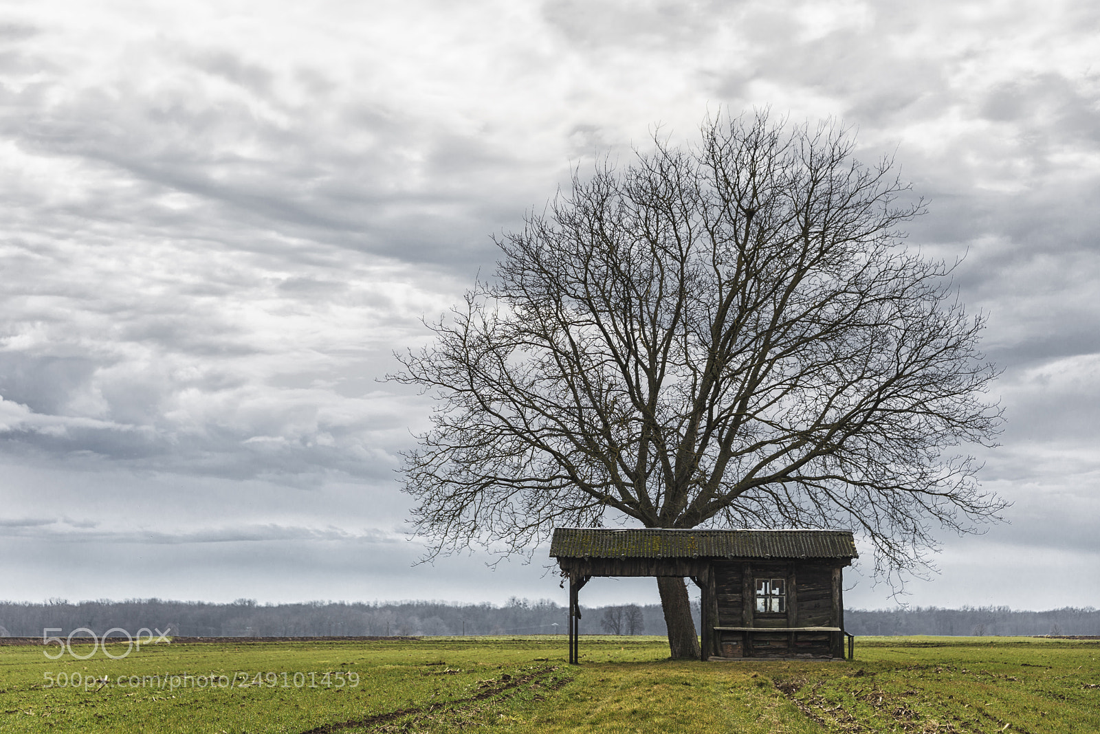 Nikon D600 sample photo. Cabane photography