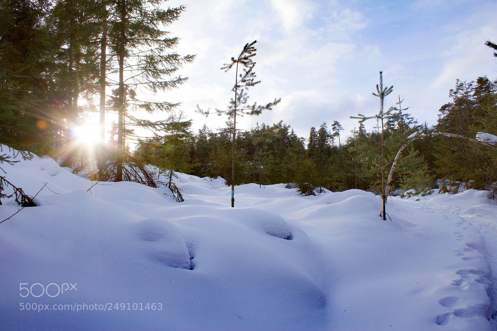 Canon EOS 600D (Rebel EOS T3i / EOS Kiss X5) sample photo. Coldsunshine photography