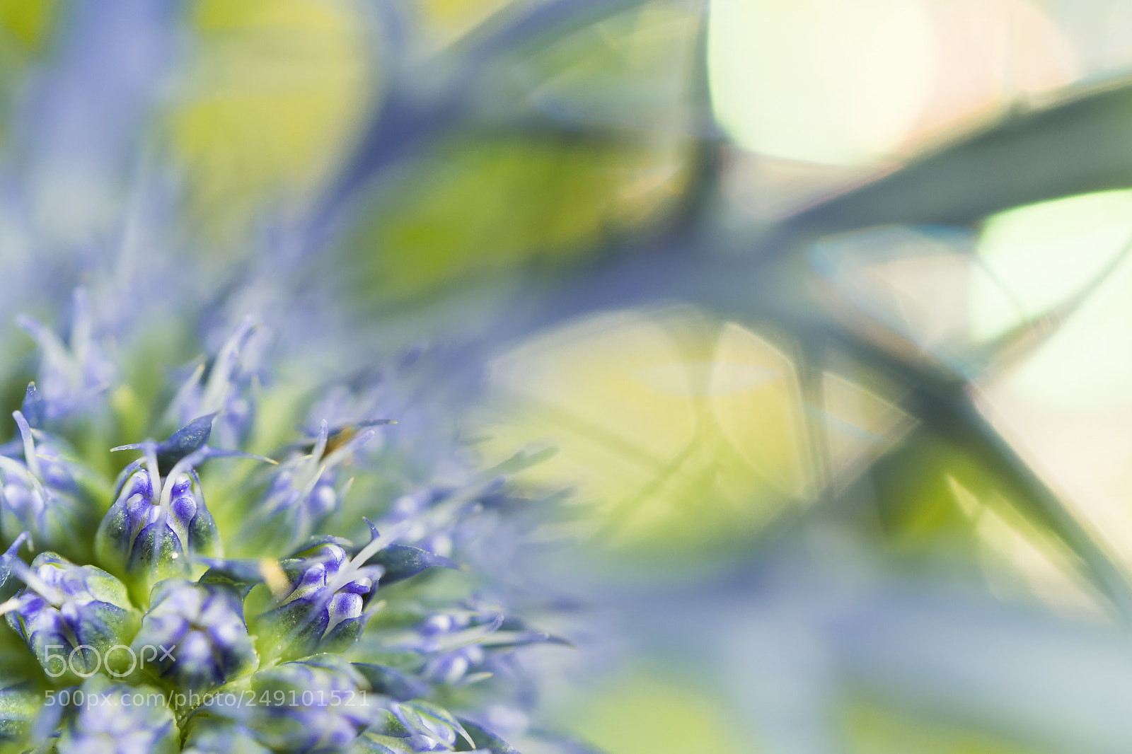 Olympus OM-D E-M10 II sample photo. Chardon photography