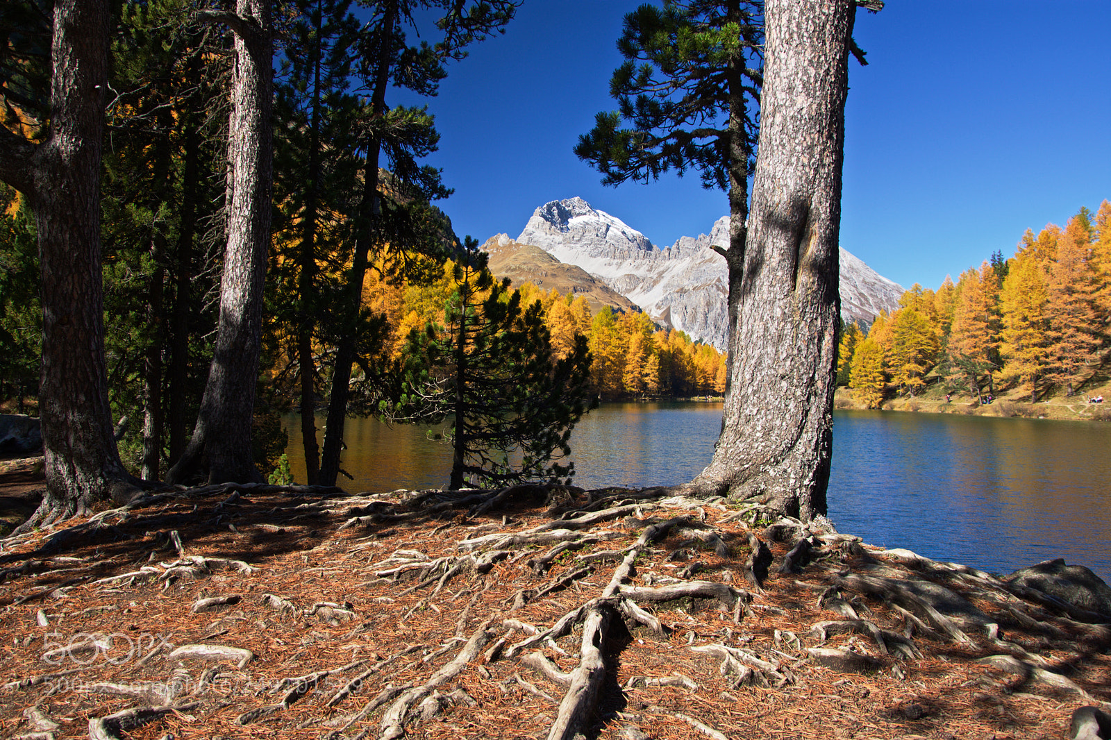 Nikon D7200 sample photo. Lago p photography